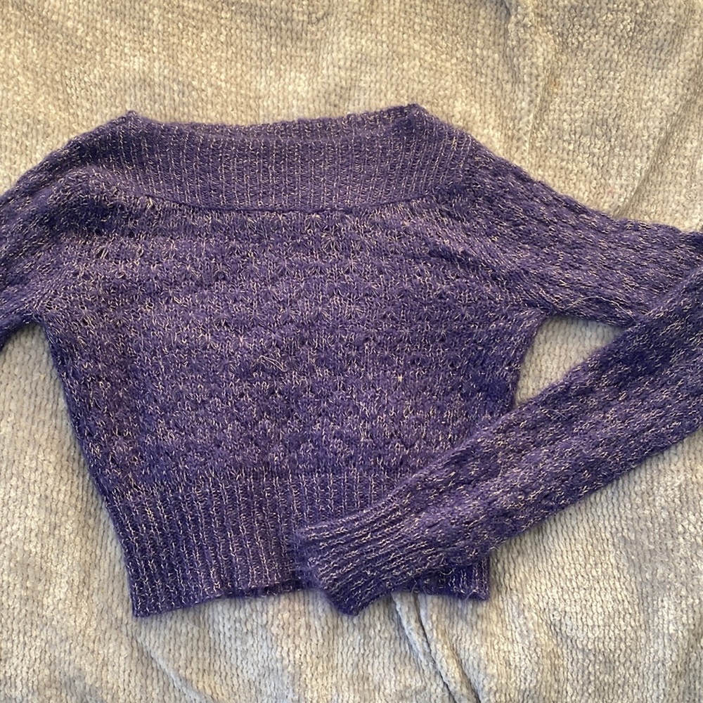 Purple with silver sweater